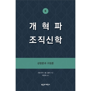 개혁파 조직신학 6 - 성령론과 구원론